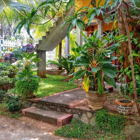 Sigiri Regal Residence シギリヤ エクステリア 写真