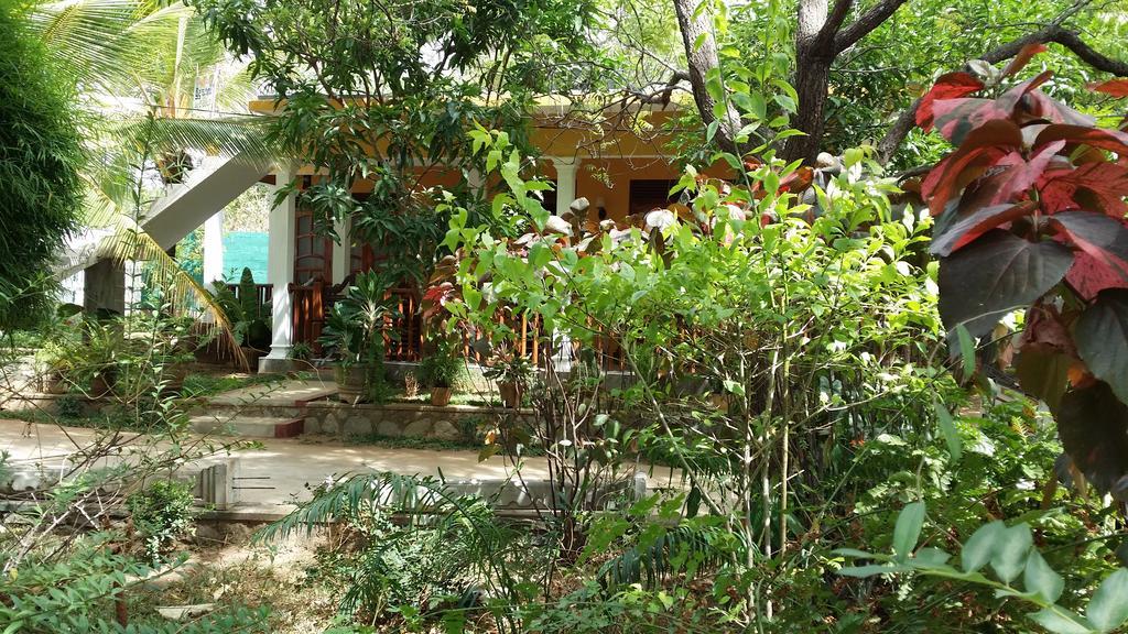 Sigiri Regal Residence シギリヤ エクステリア 写真