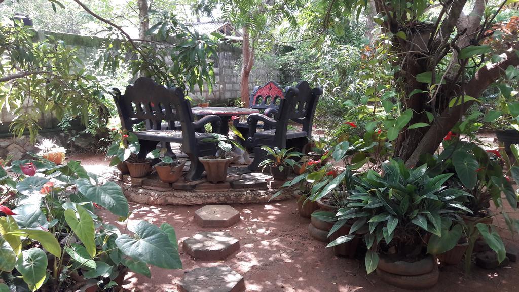 Sigiri Regal Residence シギリヤ エクステリア 写真